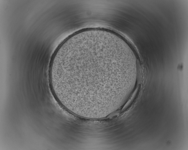 X0000114690943200911181250