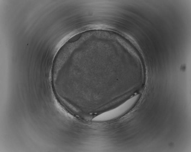 X0000114690946200911181250