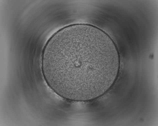 X0000114690950200911181250