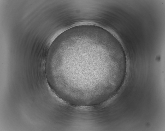 X0000114690953200911181250