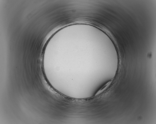 X0000114690955200911181250