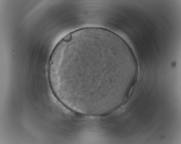 X0000114690958200911181250