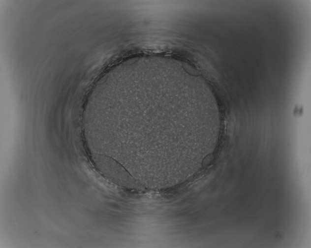 X0000114690961200911181250