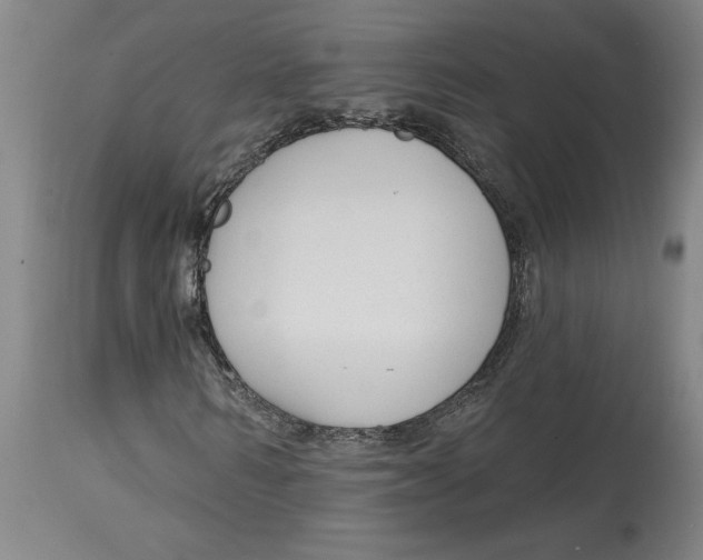 X0000114690962200911181250