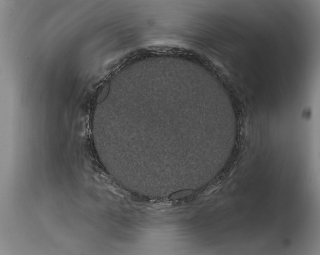 X0000114690965200911181250