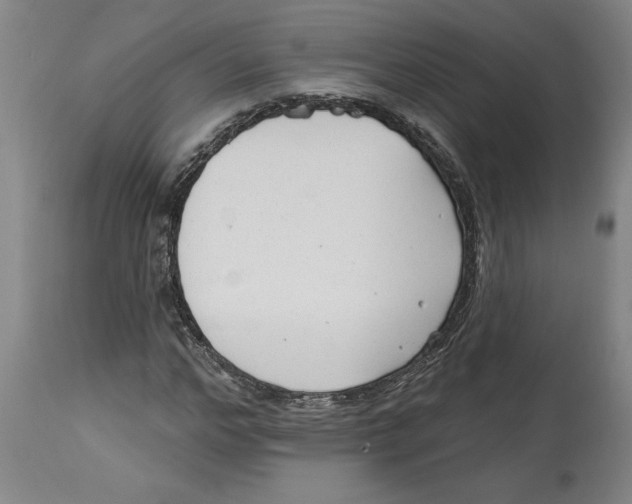 X0000114690968200911181250