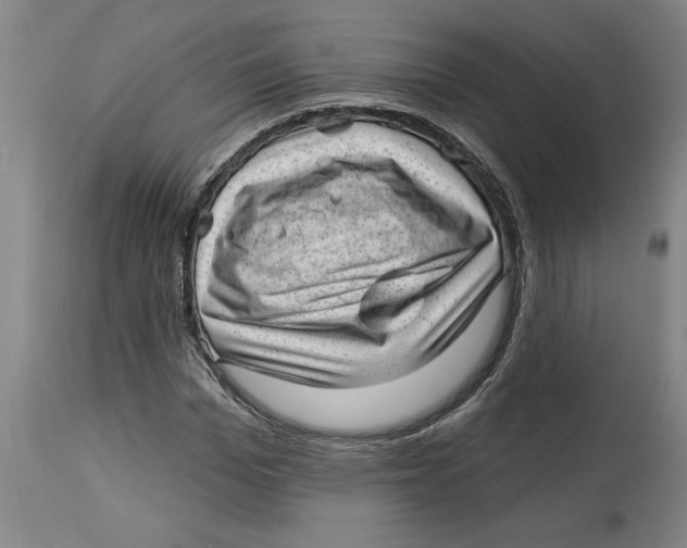 X0000114690969200911181250