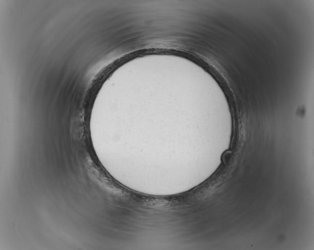 X0000114690971200911181250