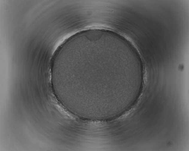 X0000114690973200911181250