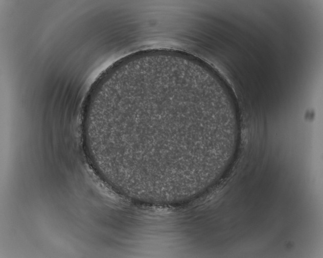 X0000114690975200911181250