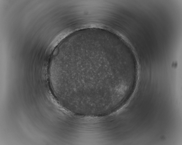 X0000114690977200911181250