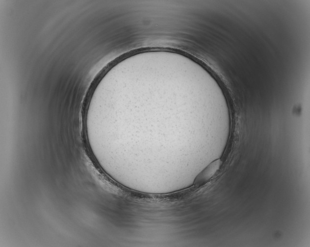 X0000114690980200911181249