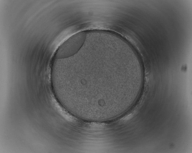 X0000114690981200911181249