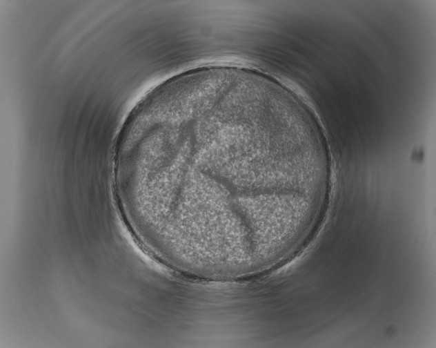 X0000114690989200911181249