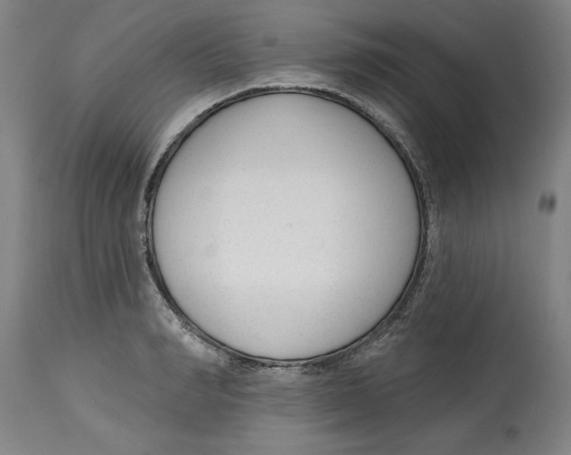 X0000114690990200911181249