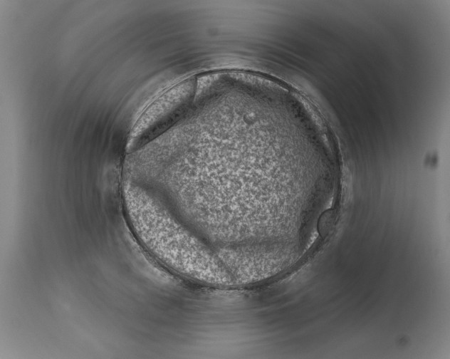 X0000114690993200911181249