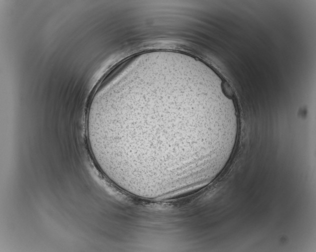 X0000114690994200911181249