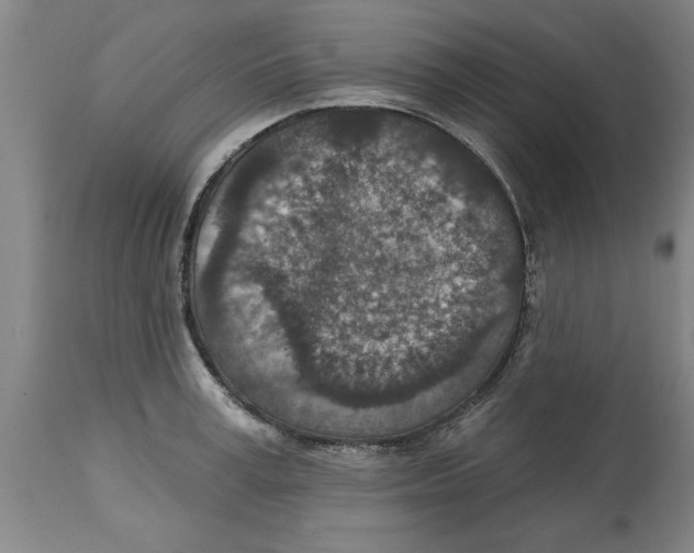 X0000114690995200911181249