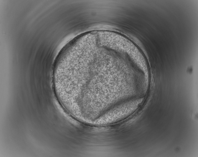 X0000114690997200911181249