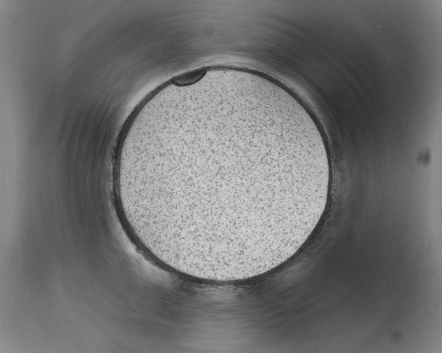 X0000114690999200911181249