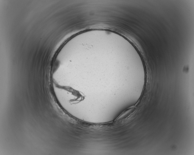 X0000114691000200911181249