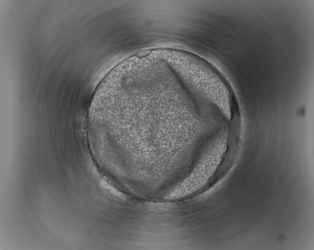 X0000114691001200911181249