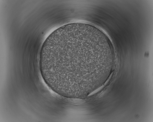 X0000114691007200911181249