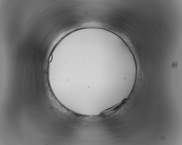 X0000114691008200911181249