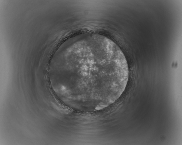 X0000114691009200911181248