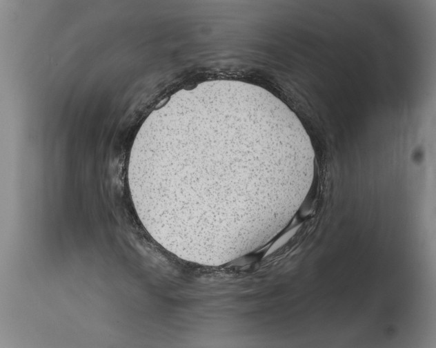 X0000114691010200911181248