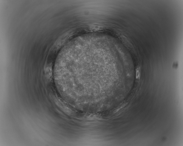 X0000114691011200911181248