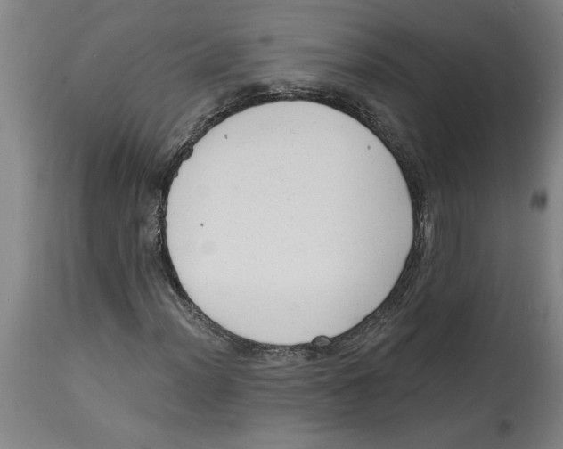 X0000114691012200911181248