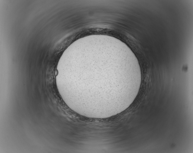 X0000114691014200911181248