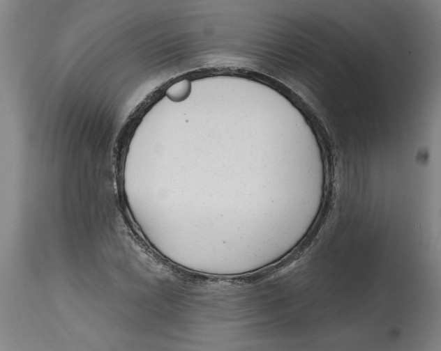 X0000114691022200911181249