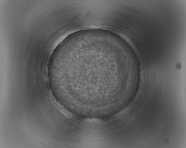 X0000114691023200911181249