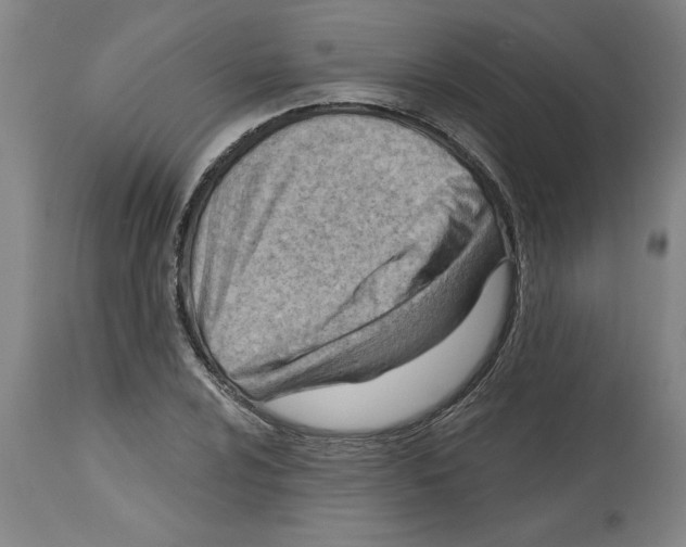 X0000114691024200911181249