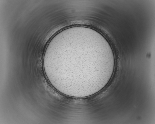 X0000114691025200911181249