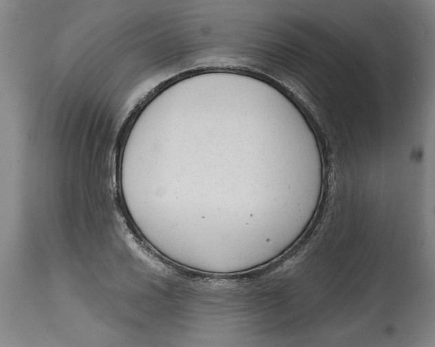 X0000114691030200911181249