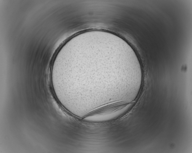 X0000114691032200911181249