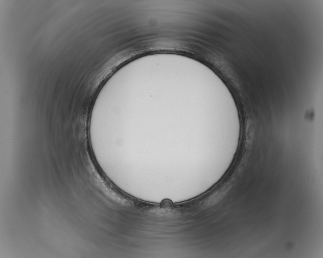 X0000114691033200911181249