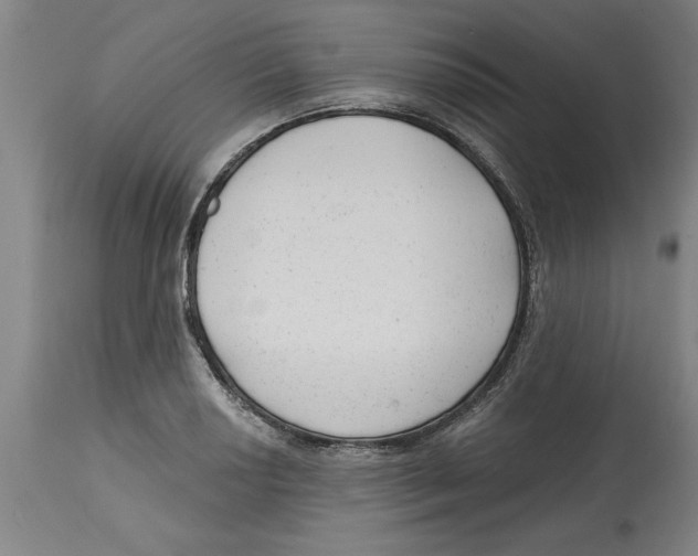 X0000114691034200911181249