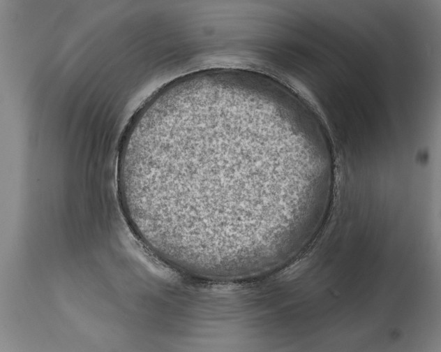 X0000114691035200911181249