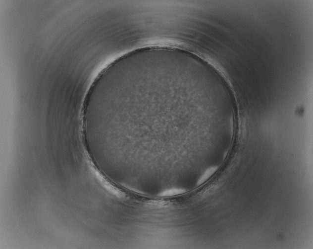 X0000114691037200911181249