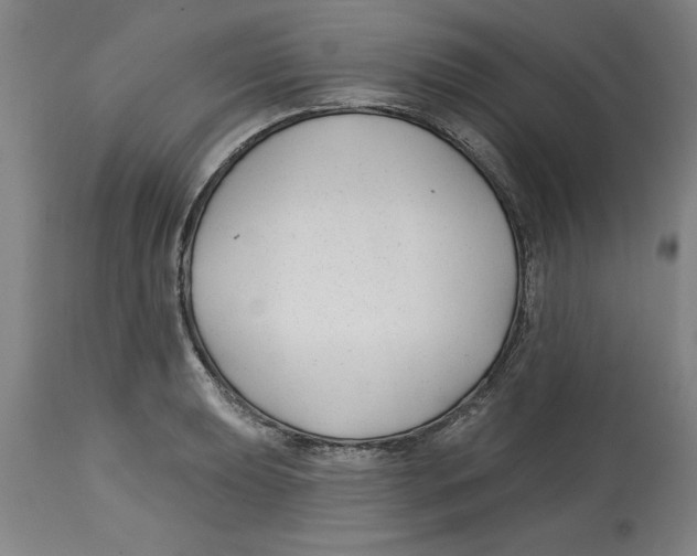 X0000114691039200911181249