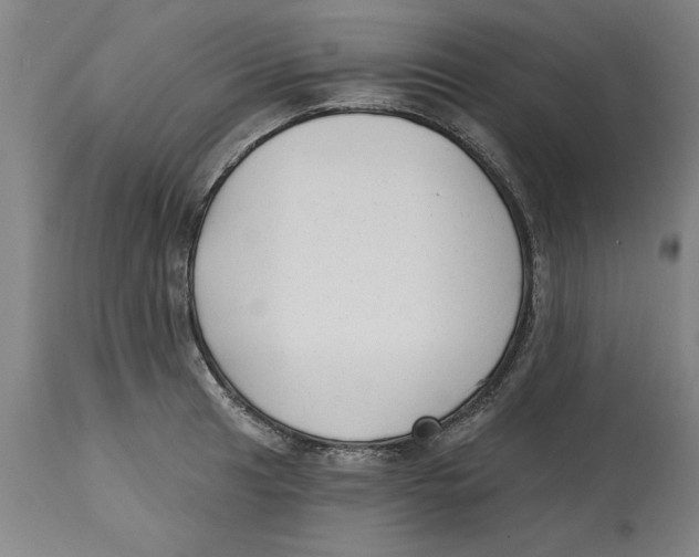 X0000114691041200911181249