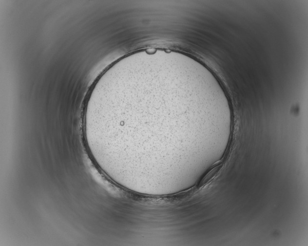 X0000114691042200911181249