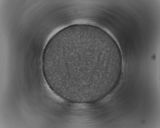 X0000114691045200911181249