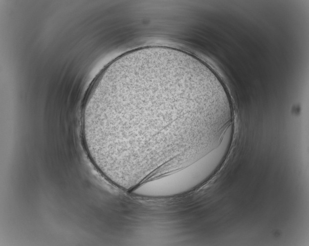 X0000114691048200911181249