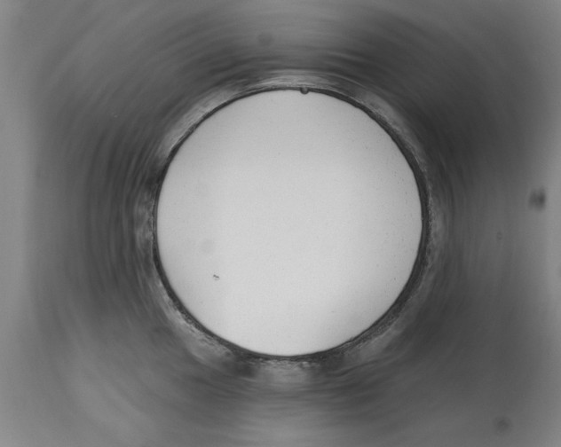 X0000114691049200911181249