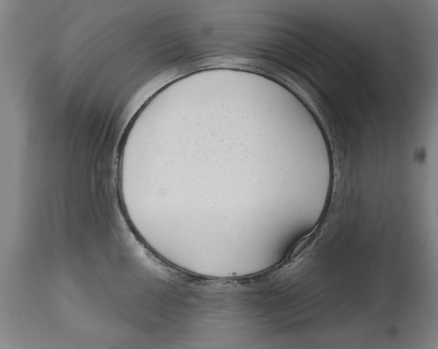 X0000114691050200911181249